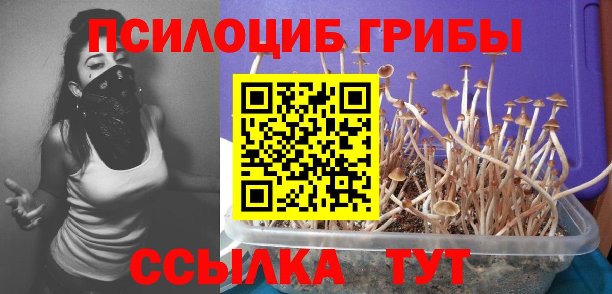 Псилоцибиновые грибы прущие грибы Каменка