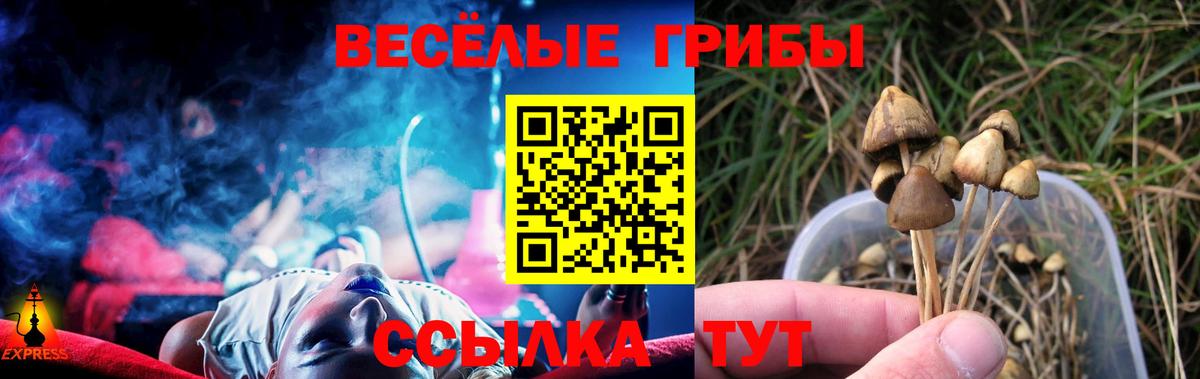 Каменка  Псилоцибиновые грибы ЛСД  Псилоцибиновые грибы мухоморы  Вход с VPN 