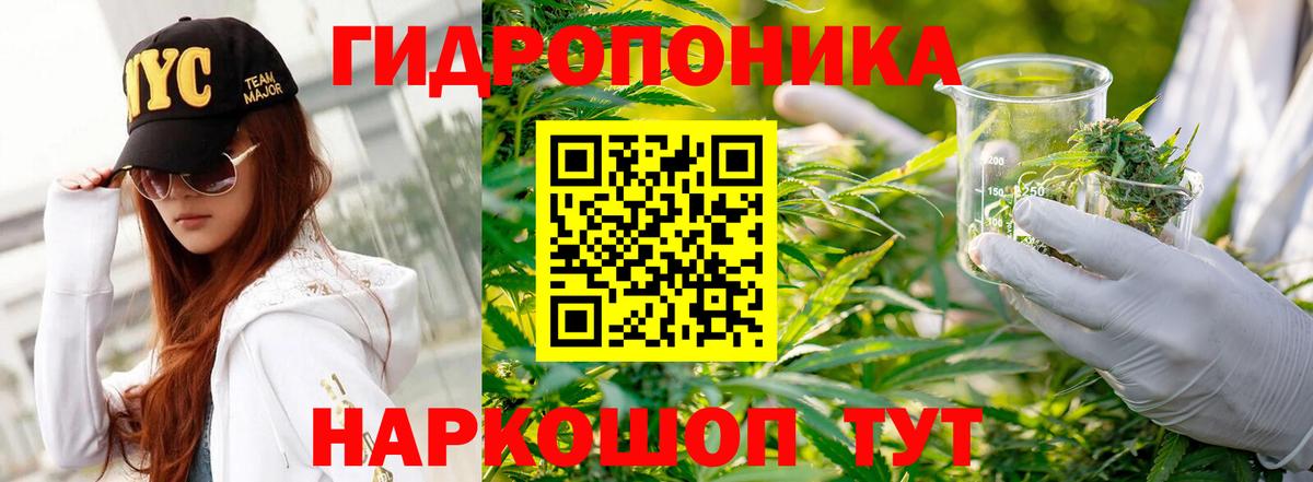 МАРИХУАНА конопля Каменка